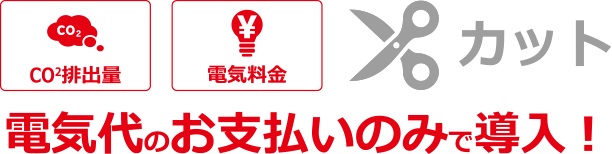 電気代のお支払いのみで導入